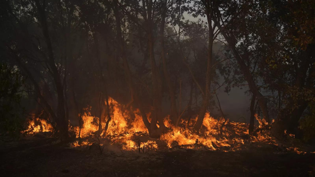 As winds calm, firefighters find hope battling French blaze