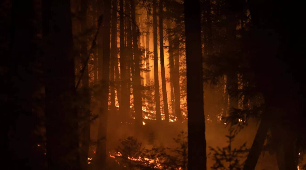 Explosive California wildfires could burn into December