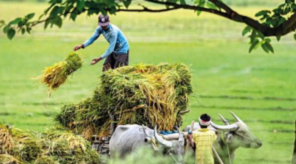 Farmer runs from pillar to post for 5 years to return Rs 53k to govt