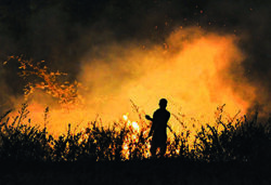 A farm tech company looks to end problem of stubble burning in Punjab and Haryana through IARI’s Pusa decomposer in three years