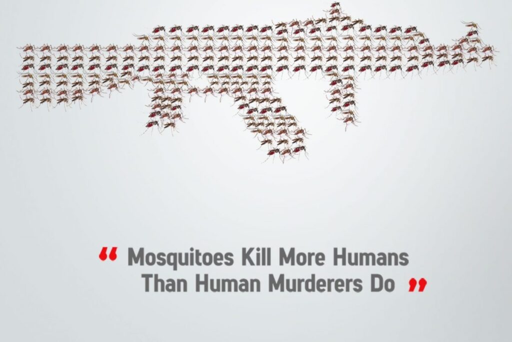 World Mosquito Day 2021: History, Significance and How to Prevent Malaria