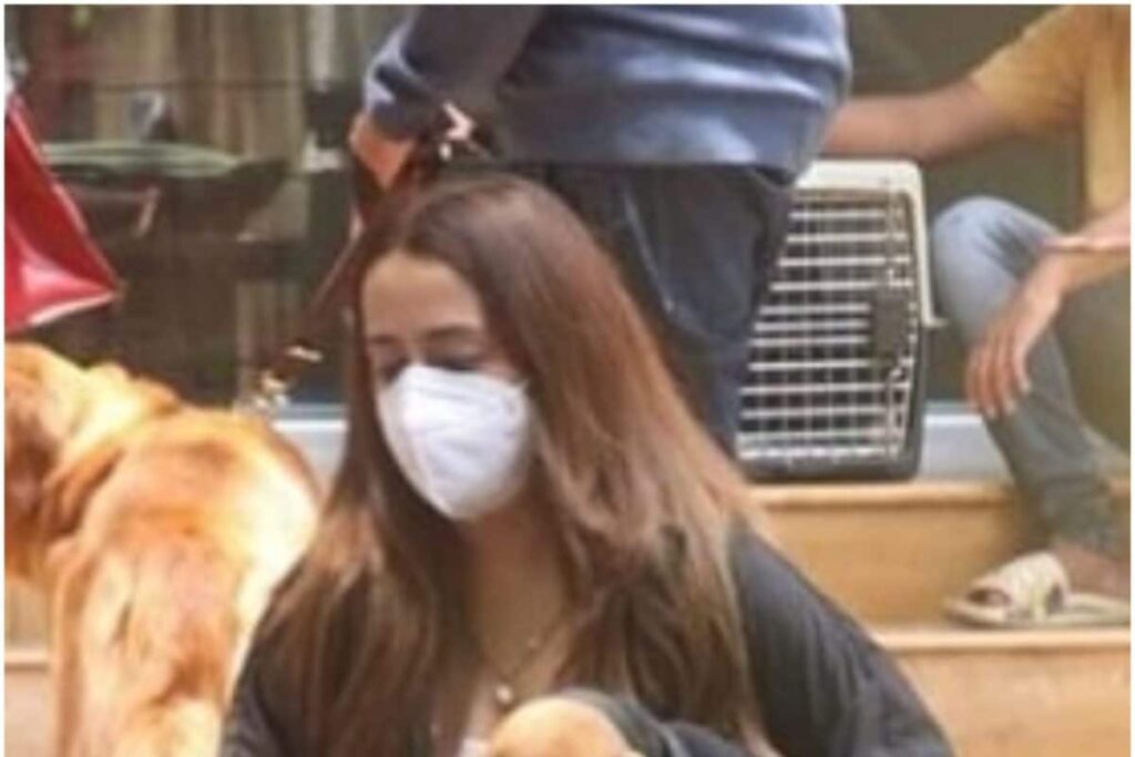 Varun Dhawan's Wife Natasha Dalal Snapped with Their Doggo Joey, See Pics