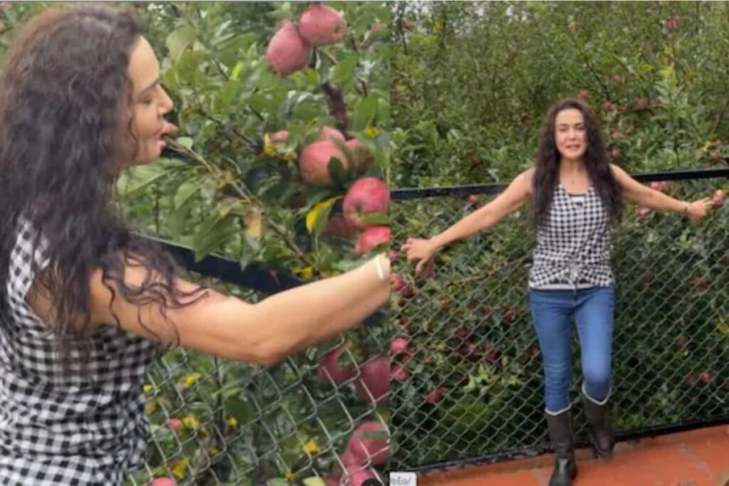 Here’s Preity Zinta’s Emotional Connection With Himachal’s Apple Season