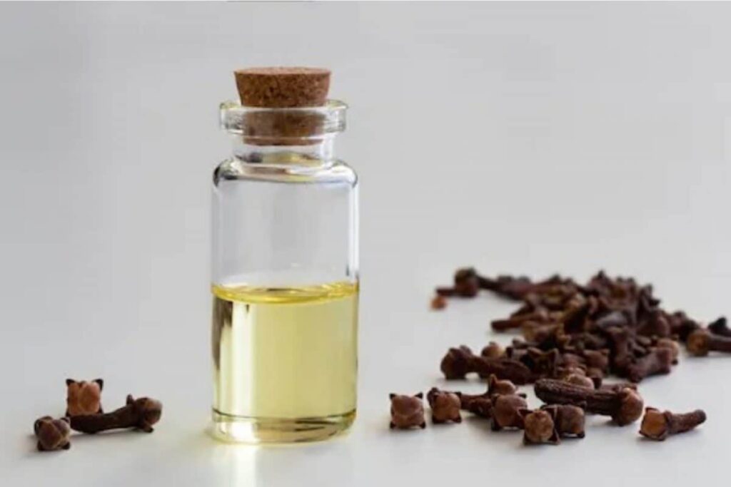 Treat Acne And Dark Spots With Clove Oil. Here are Other Benefits