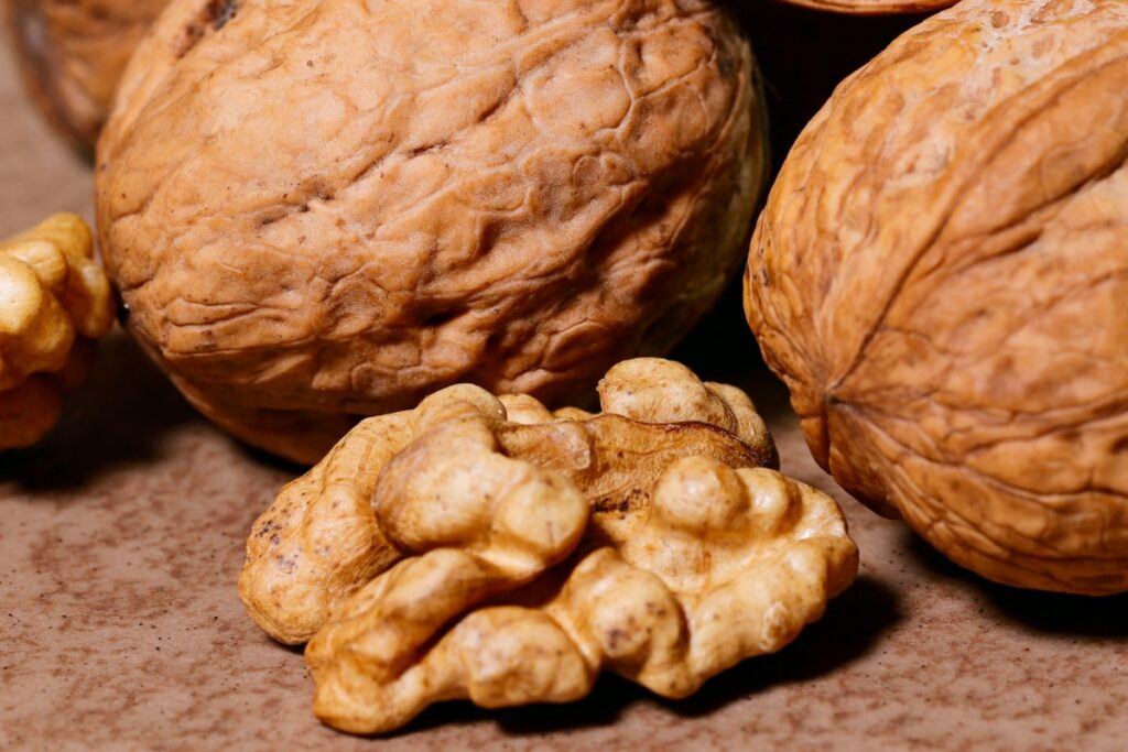 Regular Walnut Consumption Linked to Greater Longevity and Reduced Death Risk, Says Harvard Study