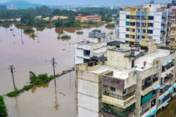 Maha: Water Reaches 'alert' Mark in Godavari River Amid Heavy Rains