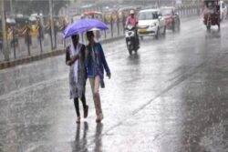 IMD Issues Orange Alert for MP, Warns of Heavy Rain in These Districts