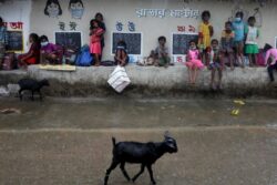 Bengal May See More Rain as Met Dept Forecasts Formation of Low Pressure Area