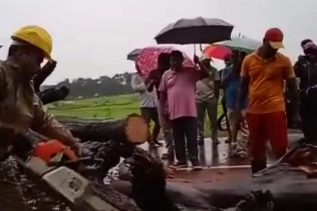 Cyclone Gulab Weakens into Depression over Odisha; Rescue Ops Continue, Orange Alert Issued