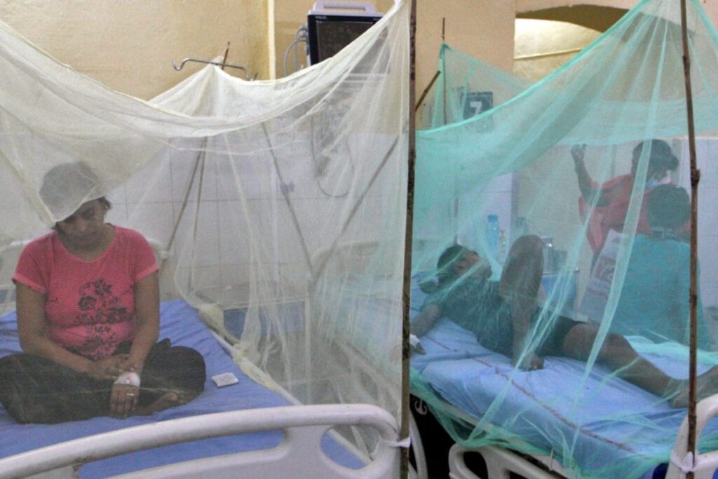 Uttar Pradesh's Dengue Death Toll Rises To 63; Over 100 Patients Admitted In Last 24 Hours