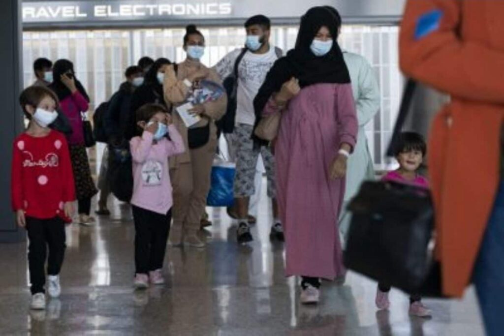 736 Afghans Recorded for New Registration in India from Aug 1 to Sep 11: UNHCR