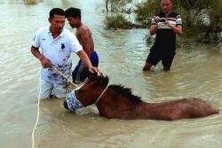 North Eastern Space Applications Centre Helping in Flood Control: Amit Shah