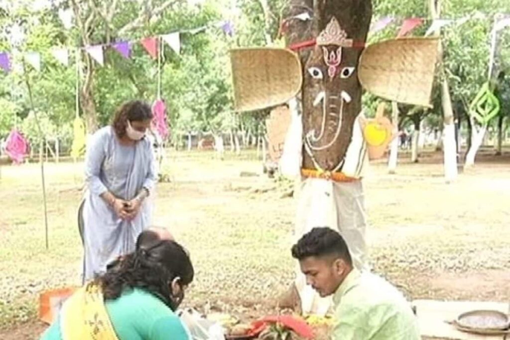 Tree as Deity, Idols of all Sizes, Hindus and Muslims Praying Together: How Odisha Marked Ganesh Chaturthi