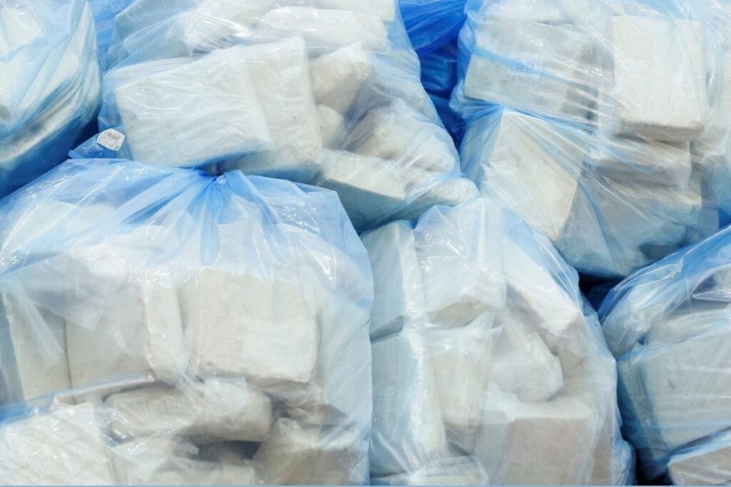 Police, Agencies Seizing Heroin Every 70 Mins in India, But Disposal a Task Now, Show NCB Data