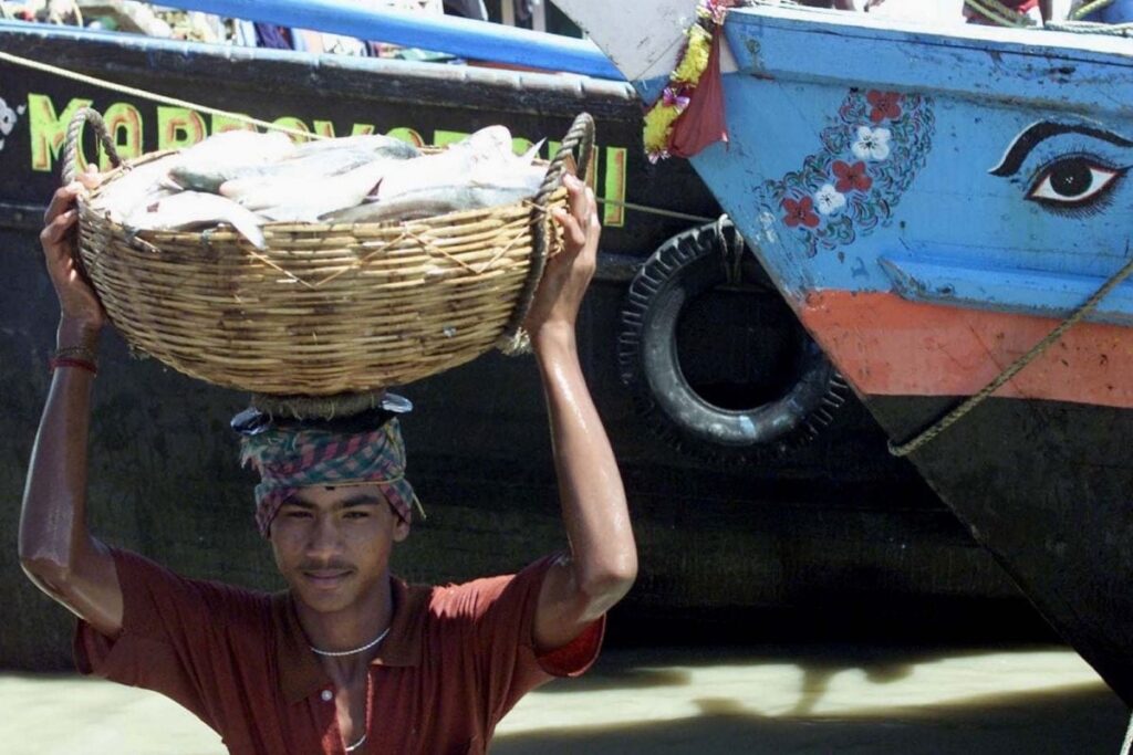 Hilsa Lovers Rejoice as Bangladesh to Export More Fish Ahead of Durga Puja