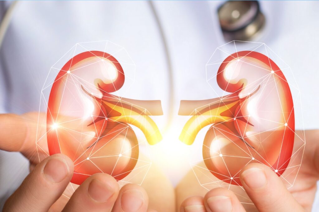 Patients Likely To Develop Kidney Damage or Chronic and End-stage Kidney Diseases Post COVID-19, Claims Study