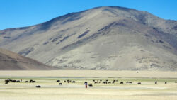 China installs new modular container-based accommodations for its troops near LAC in eastern Ladakh