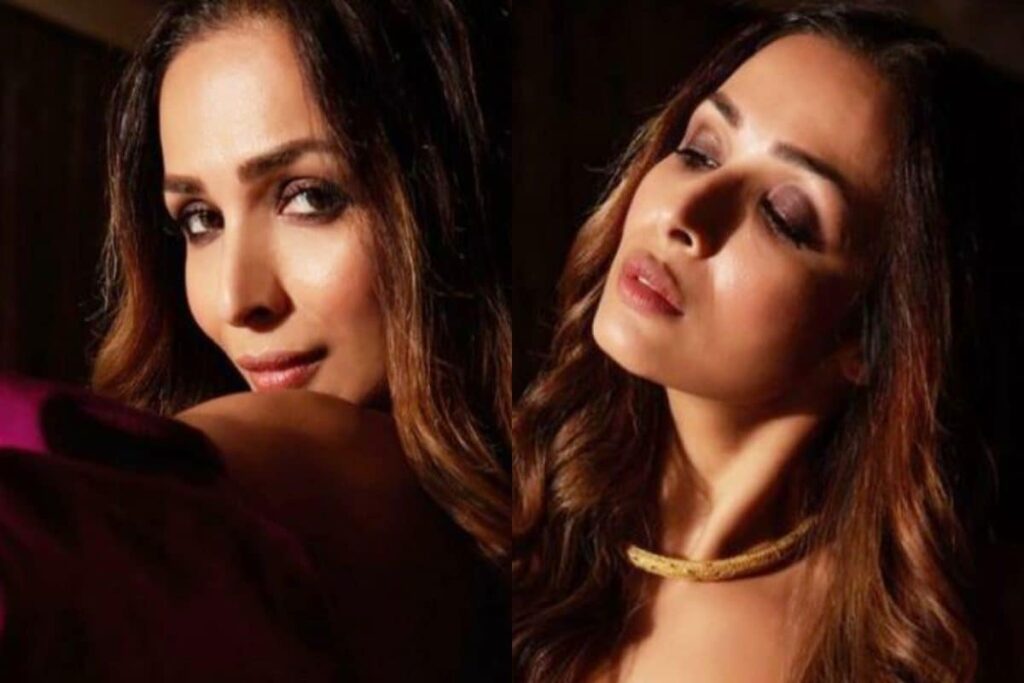 Malaika Arora Sets the Internet on Fire With Glamorous Pics From Latest Photoshoot