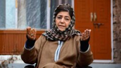 PDP to fight upcoming assembly elections in J&K: Mehbooba Mufti