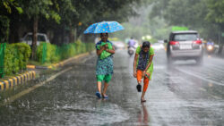 Country receives normal rainfall during June-Sept: IMD