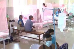 Viral Fever, Dengue Spread to UP’s Agra, Kanpur; West Bengal, too, Affected