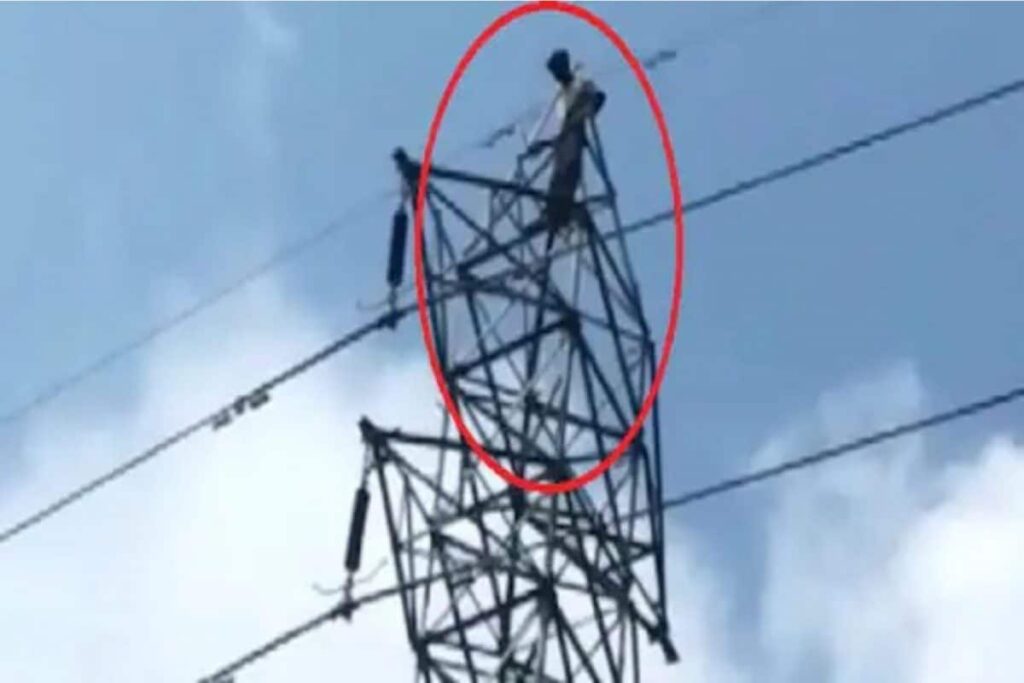 In Haryana, 17-year-old Mentally Challenged Climbs Atop High-tension Tower