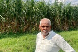 GROUND REPORT I Rs 25 Hike in Sugarcane MSP ‘Too Less’ for West UP Farmers But May Still Vote for BJP