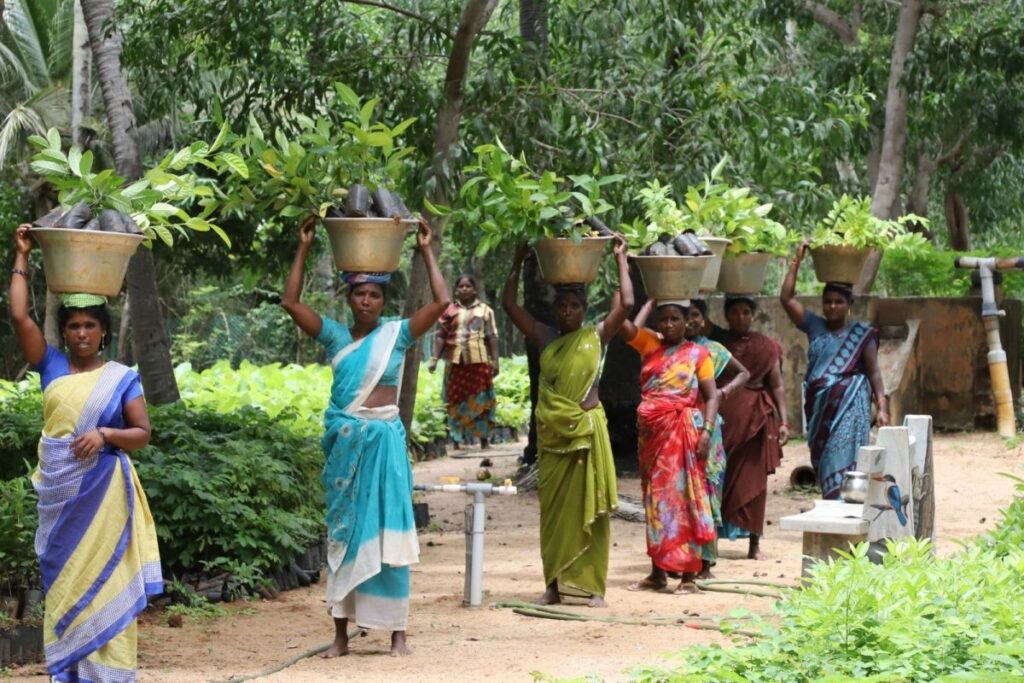 Tamil Nadu NGO Holds Green Initiatives by Planting 3 Lakh Saplings