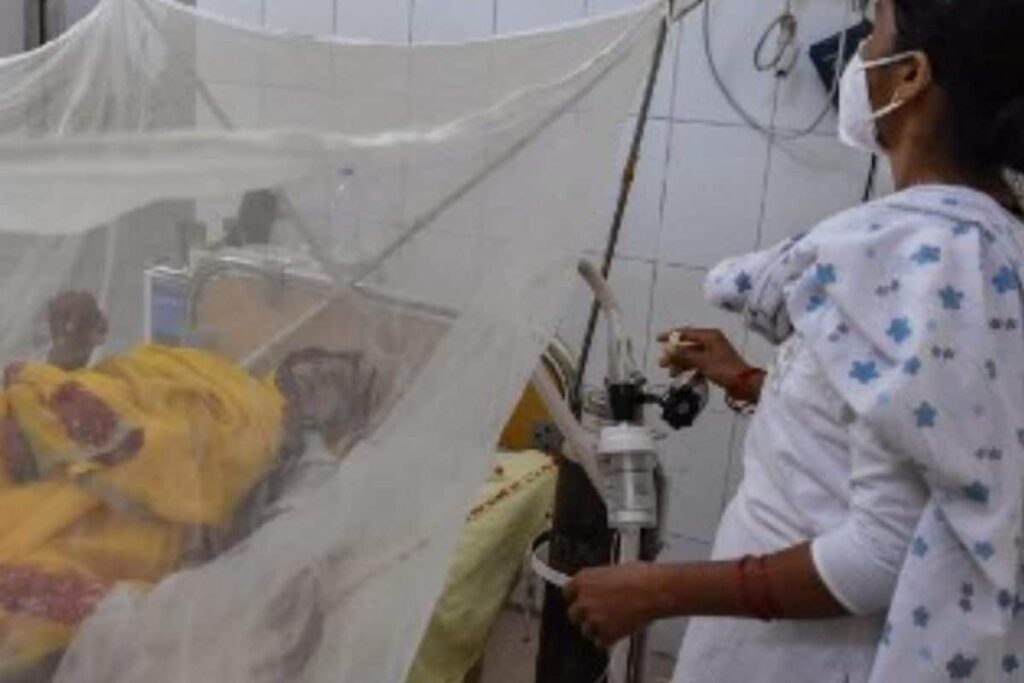 55 Suspected Dengue Deaths Reported in UP's Firozabad Since Its Outbreak: Official