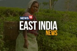 Mizoram Allows Reopening Of Schools In Aizawl Civic Body Area For Class 10, 12