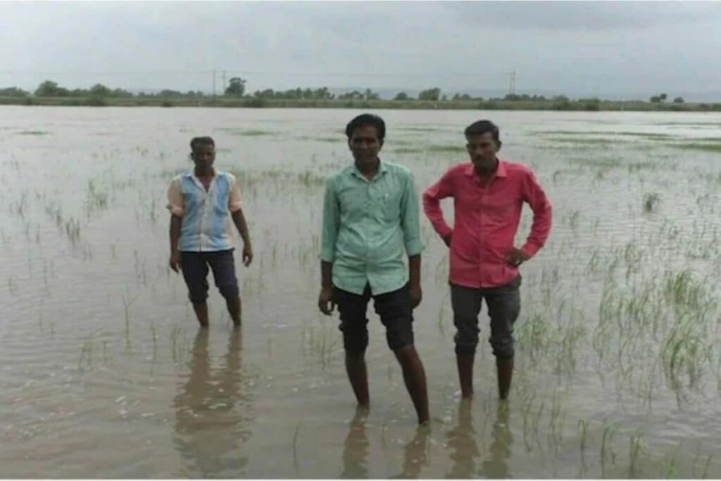 Maha Govt Approves Rs 774 Crore for Rain-hit Farmers in Nine Districts