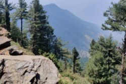 Uttarakhand: 2 More Missing Trekkers Found Dead, Toll Reaches 7