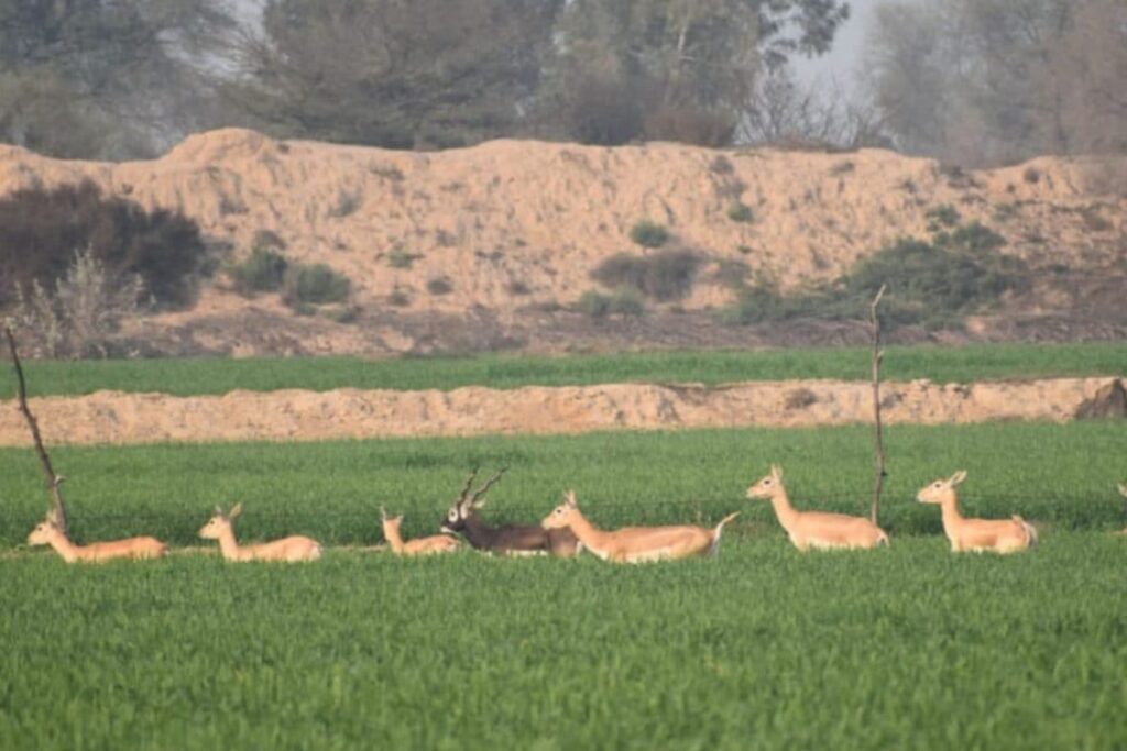 Living Inside a Wildlife Sanctuary, This Community Marries Conservation and Co-Existence