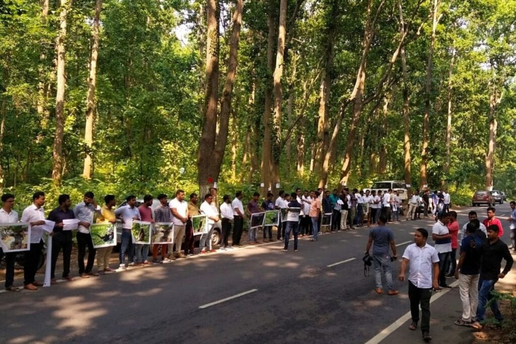 Mammoth Protest in Assam: Hundreds Resist Plan to Cut 6,000 Trees, Say It'll Damage Elephant Corridor