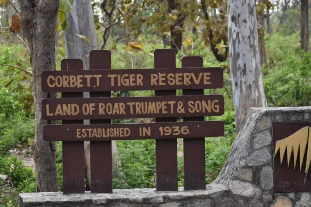 Jim Corbett Park Likely to Be Renamed as 'Ramganga National Park': Forest Minister