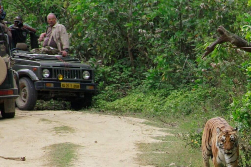 Jim Corbett National Park Will Not Be Renamed, Clarifies Uttarakhand Govt