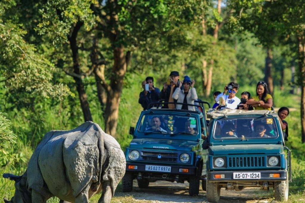 5 Forest Ranges of Kaziranga National Park Reopen for Tourists