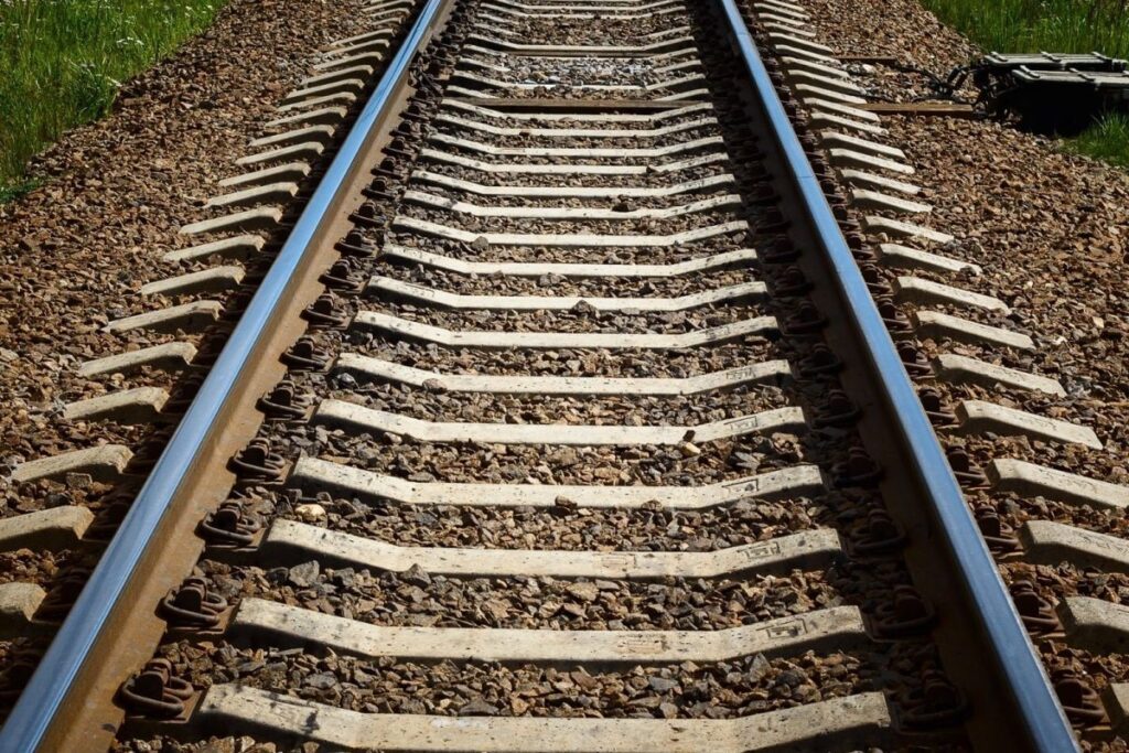 Over 27,000 Cattle Died On Railway Tracks Between April 2020 and March 2021