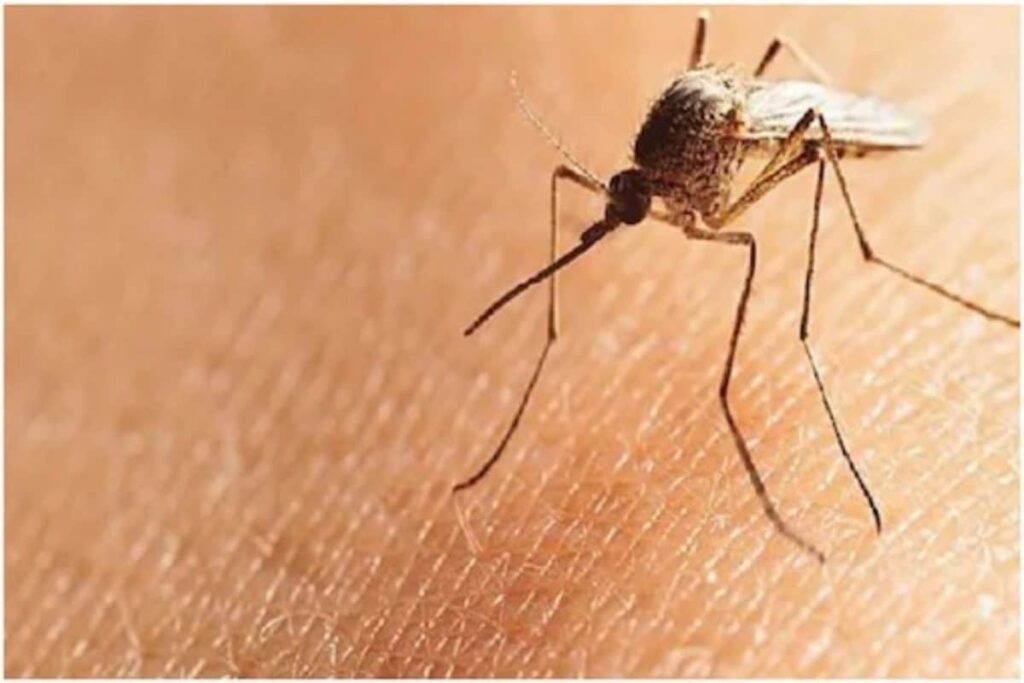 Dengue, Chikungunya, Malaria Made Notifiable Diseases Under Epidemic Diseases Act