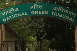 Setback to Telangana as NGT Stalls Palamur-RR Project Works, Asks to Obtain Environment Clearance