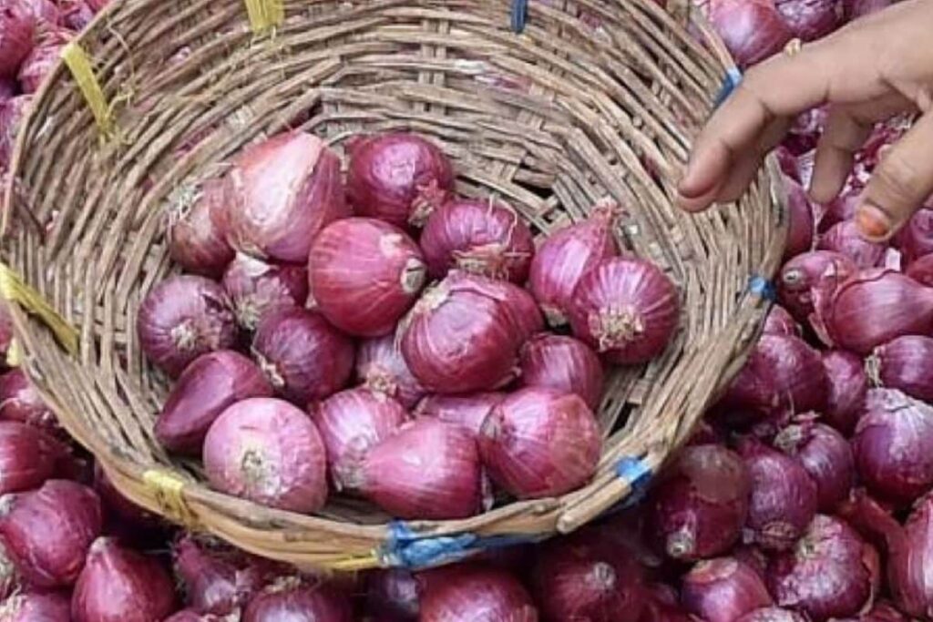 Onions at Rs 39 Per Kg, Tomatoes at Rs 45: Fuel Price Hike Dulls Festive Cheer as Rates of Kitchen Staples Skyrocket