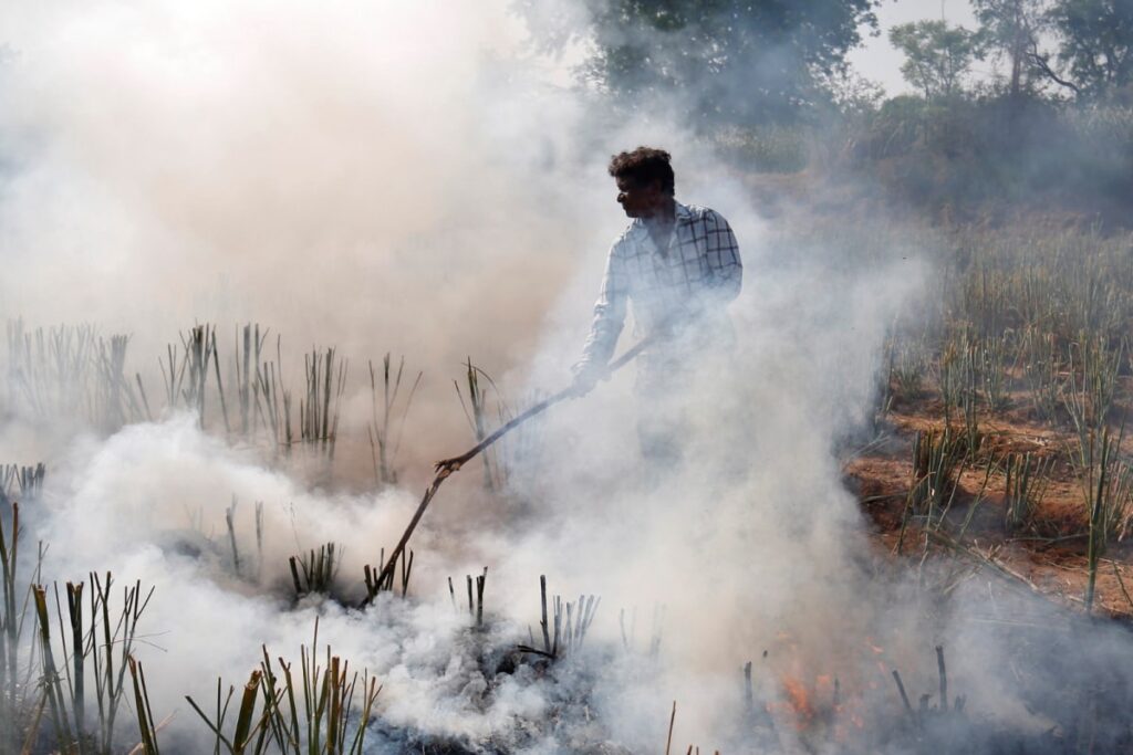 Delhiites to Struggle for 'Good' Quality Air in Coming Days as Stubble-burning Incidents Going Up