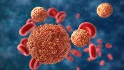 Kanpur Zika virus case: 57-year-old patient stable, samples of 22 contacts negative