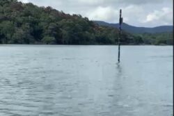 Kerala Wants New Dam at Mullaperiyar; to Discuss with Tamil Nadu Next Month