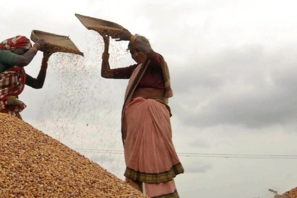 World Food Prices Hit New 10-year High in October, Says The Food and Agriculture Organization