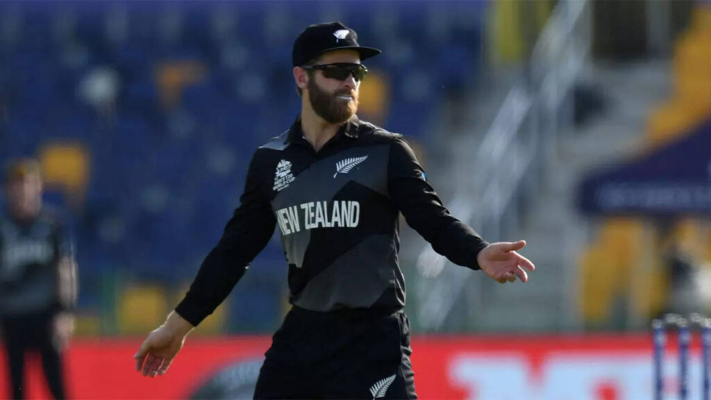 It's a one-off match for us: Kane Williamson on the big final