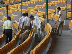 Bengaluru's Chinnaswamy stadium blast case: Two convicts get life sentence