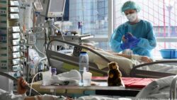 Omicron Covid Variant: Full list of countries with B.1.1.529 confirmed cases