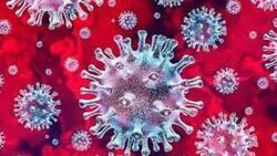 Norovirus outbreak in Kerala: How contagious is it? Symptoms, treatment, all you need to know