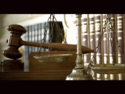 'Immense disgust', says Delhi Court; raps lawyer for calling riots handiwork of political party